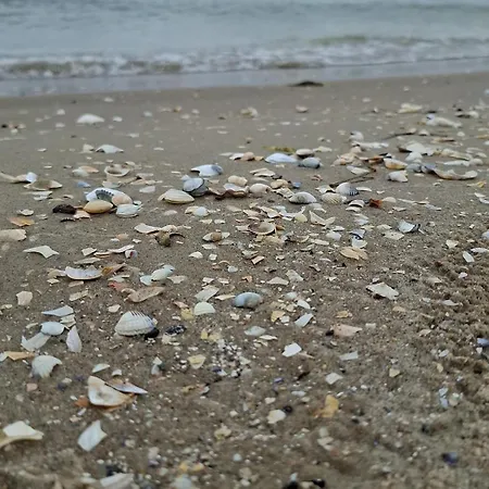 Theunis Apartament Karlshagen